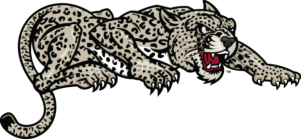 Lafayette Leopards 2000-Pres Partial Logo v2 diy fabric transfer